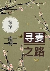 （快穿）寻妻之路