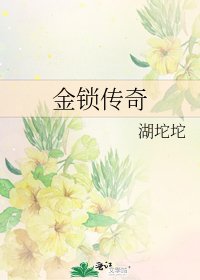 金锁传奇