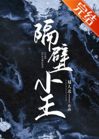 隔壁小王（全息）