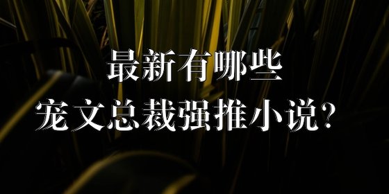 最新有哪些宠文总裁强推小说？